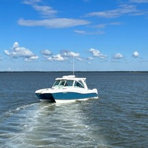 World cat 250 dc
