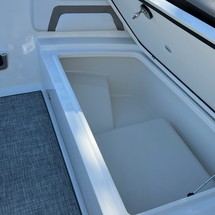 World cat 250 dc