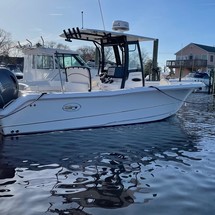 Sea Ray hunt ultra 211