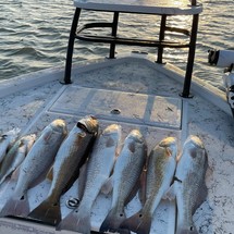 Shallow sport modified v 24