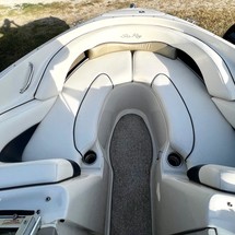 Sea ray 220 select