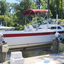 Wellcraft 290 Coastal