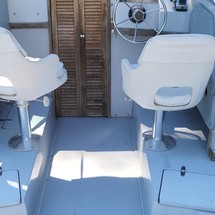 Wellcraft 290 Coastal