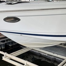 Cobalt 302