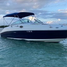 Sea Ray 240 Sundeck