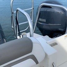 World cat 250 dc