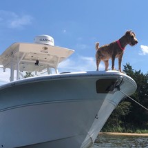 Sea Fox 266 Commander