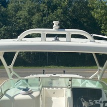 World cat 270 sd