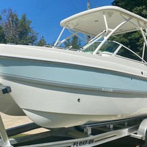 World cat 270 sd
