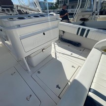 Intrepid 310 walkaround