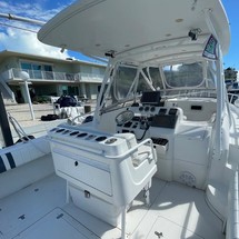 Intrepid 310 walkaround