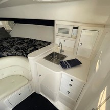 Intrepid 310 walkaround