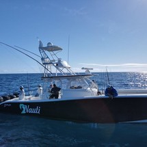 Yellowfin 42