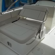 Boston Whaler 230 Vantage