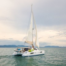 Leopard 44