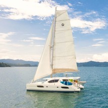 Leopard 44