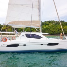 Leopard 44