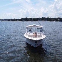 Grady-White Freedom 335