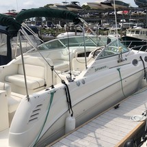 Sea Ray 260 Sundancer