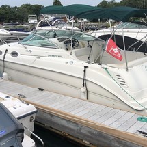 Sea Ray 260 Sundancer