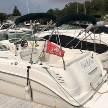 Sea Ray 260 Sundancer