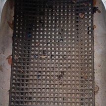 Four winns 200 horizon