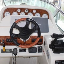 Larson Cabrio 310