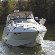 Larson Cabrio 310