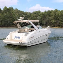 Larson Cabrio 310