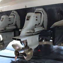 Larson Cabrio 310
