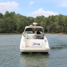 Larson Cabrio 310