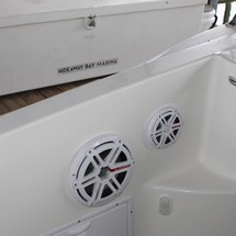 Larson Cabrio 310