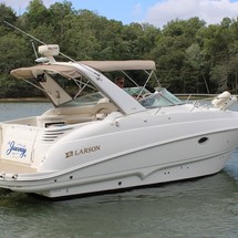 Larson Cabrio 310