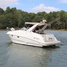 Larson Cabrio 310