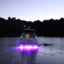 Larson Cabrio 310
