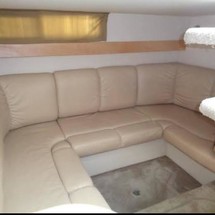 Larson Cabrio 310