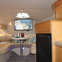 Larson Cabrio 310
