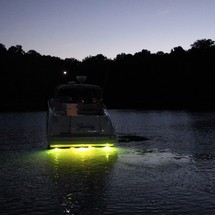 Larson Cabrio 310