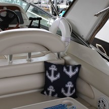 Larson Cabrio 310