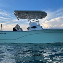 Sea Fox 249 Avenger
