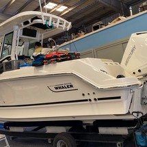 Boston Whaler 250 Outrage