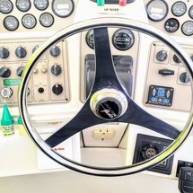 Carver 41 Cockpit Motor Yacht