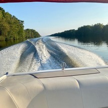 Cobalt 220