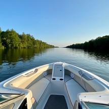 Cobalt 220