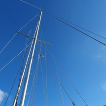 Prout snowgoose 37 elite