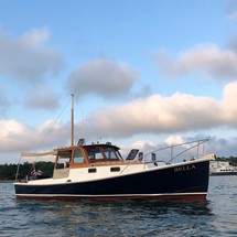 Island packet 31