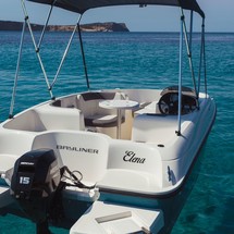 Bayliner Element
