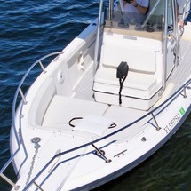 Pursuit 2870 center console