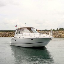 Sea ray da 425