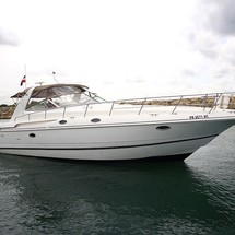 Sea ray da 425